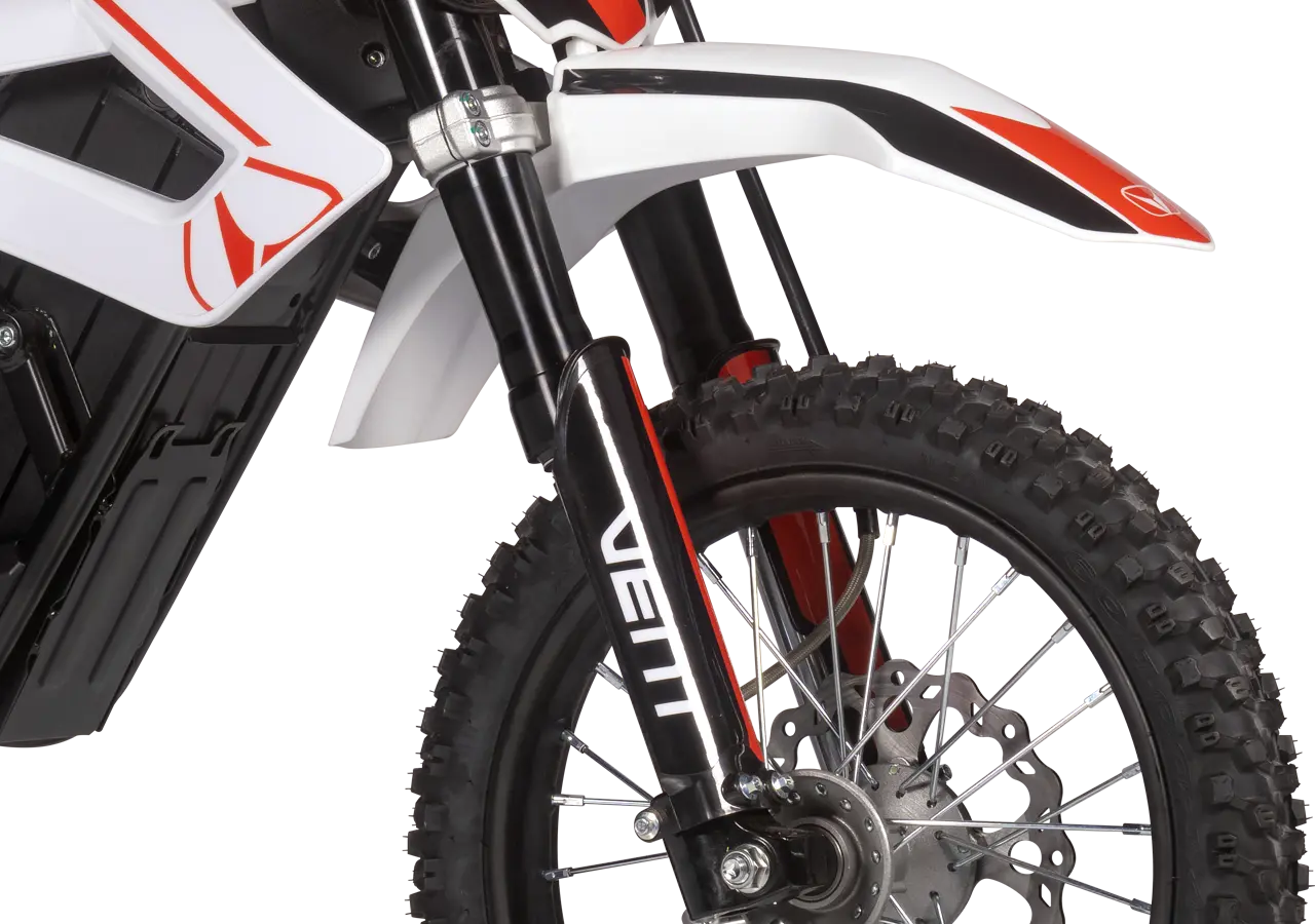 eSCOUT - Motorcycle chassis